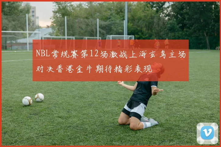 NBL常规赛第12场激战上海玄鸟主场对决香港金牛期待精彩表现